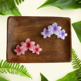Plumeria Triple Claw Clip 6